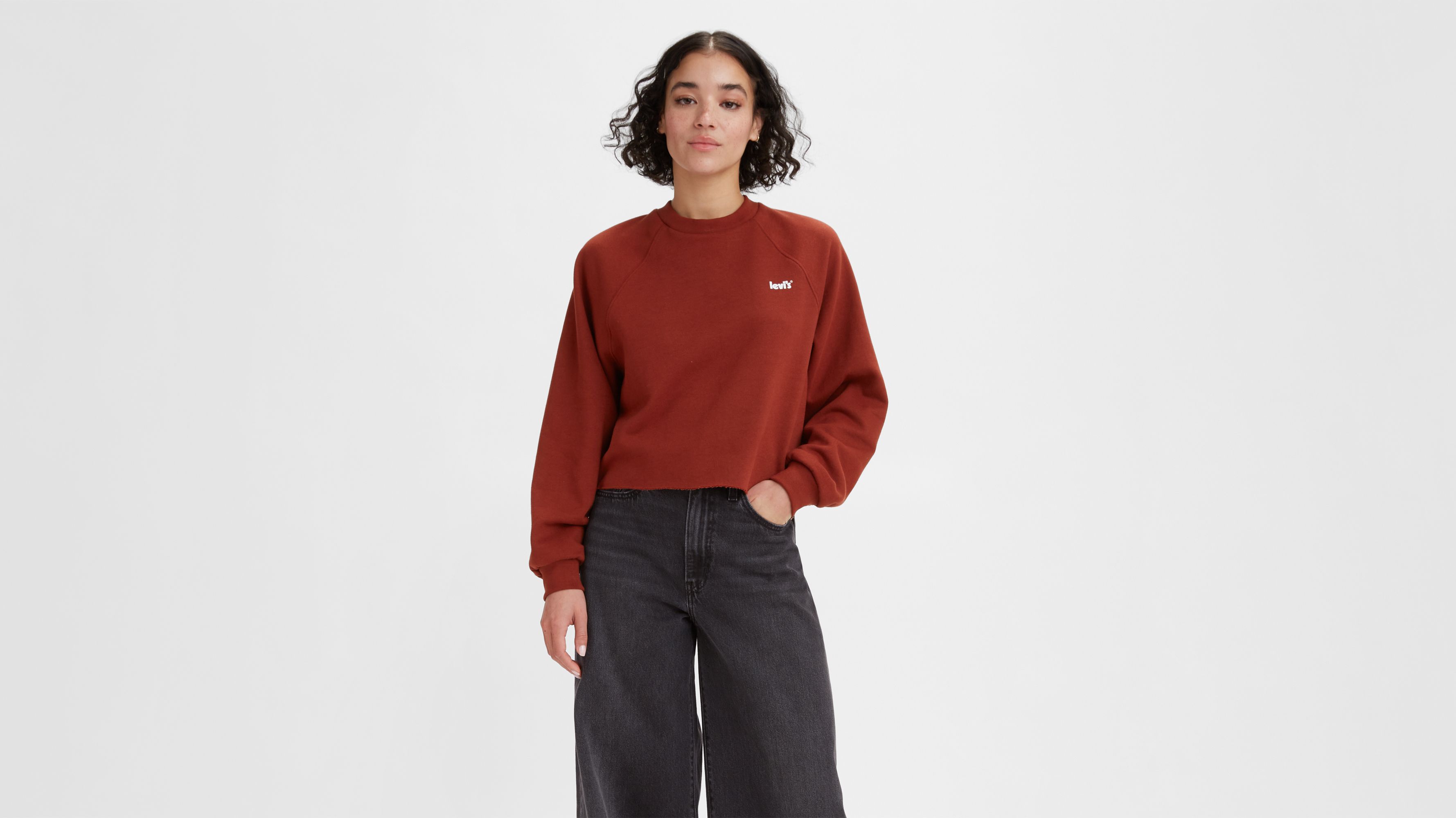 Laundry Day Sweatshirt 123740 Levi's TR