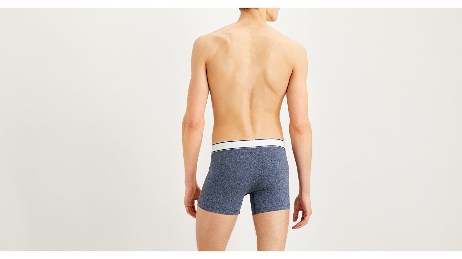 Levi's® Basic Boxer Brief - 2 Pack
