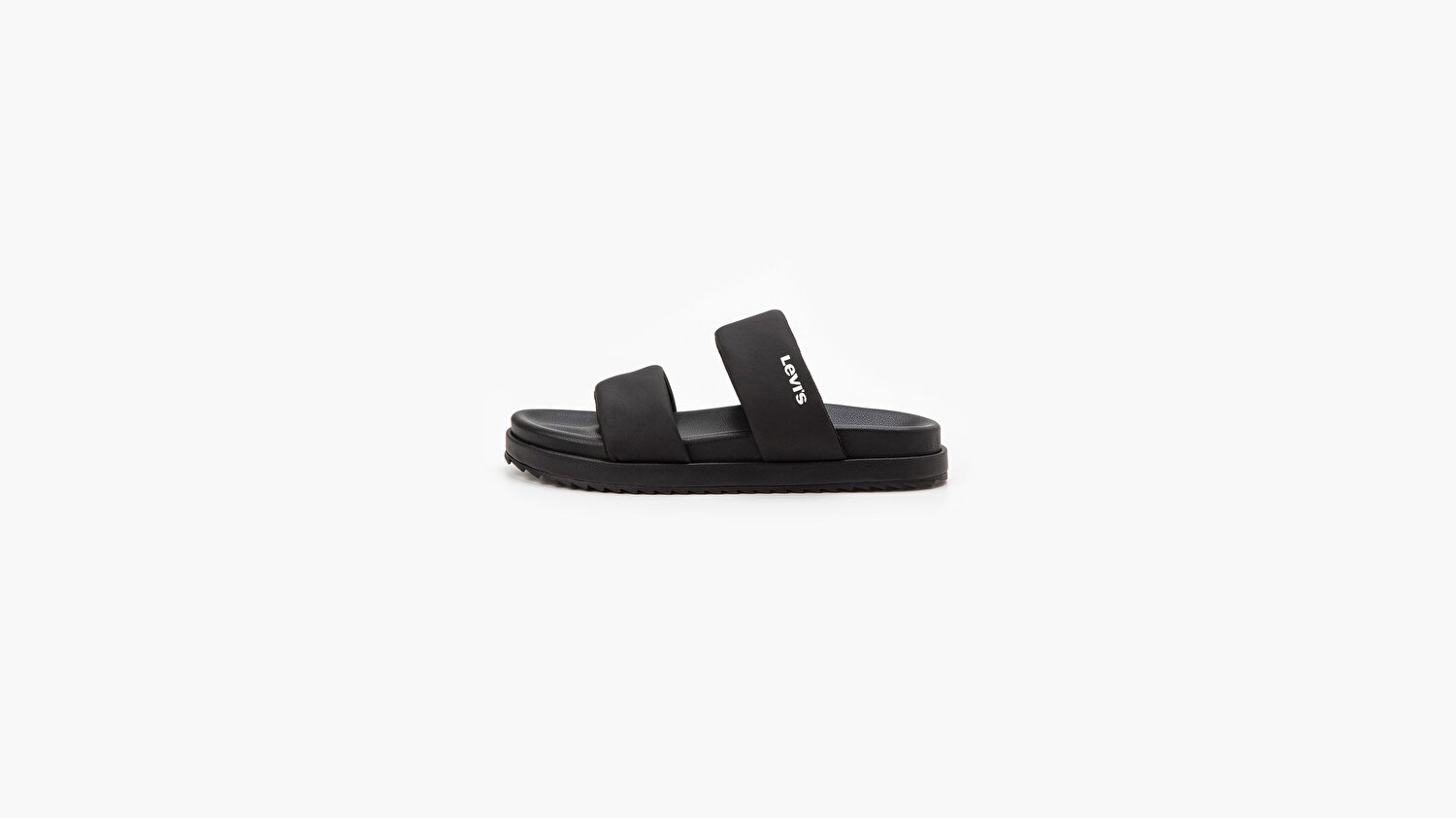 June Bold Terlik