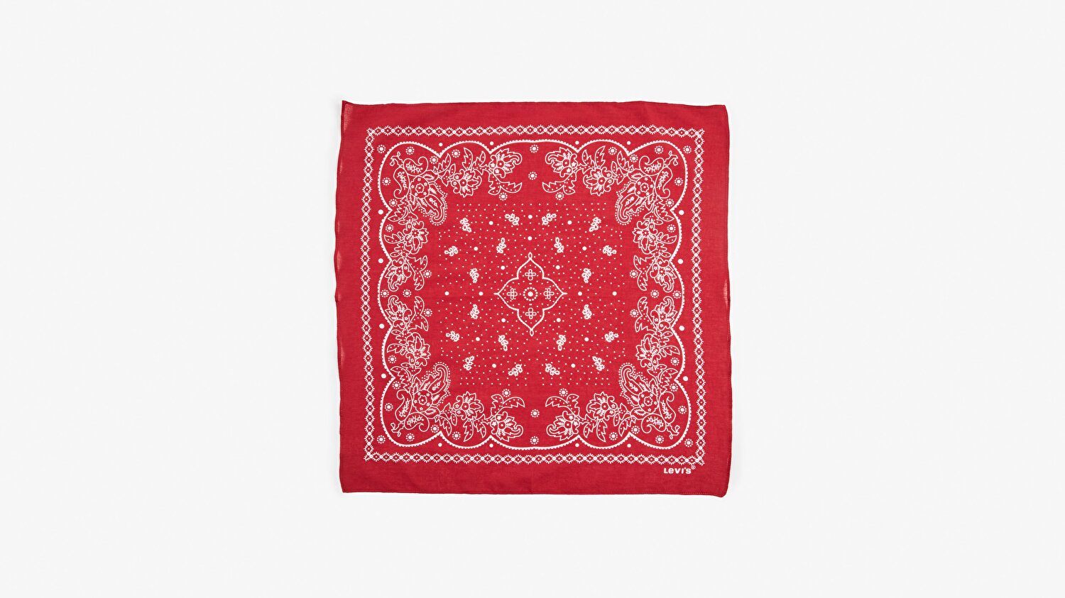 Paisley Unisex  Bandana