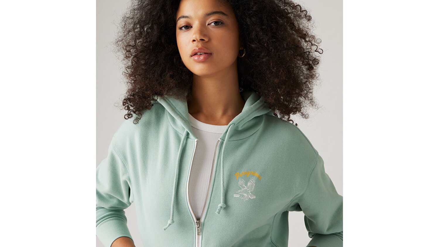 Graphic Heritage Zip Hoodie
