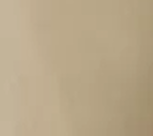 XX Chino Standard Taper Tech+ Pantolon