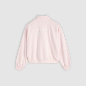 Graphic Vintage Boxy 1/4 Quarter-Zip Sweatshirt