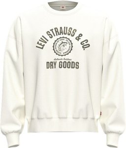 Boxy Graphic Bisiklet Yaka Sweatshirt