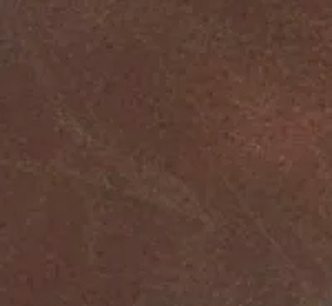 Reversible Plus Erkek Kemer