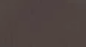 Levi's® Erkek Seine Metal Kemer