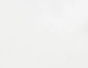 Blank Canvas Unisex Ekru Çanta