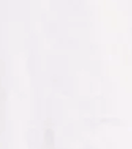 Housemark Beyaz Erkek Tişört