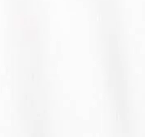 Ss Classic Hm Tee  Beyaz Erkek Tişört