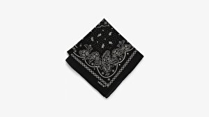 Paisley Unisex Bandana