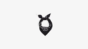 Paisley Unisex Bandana