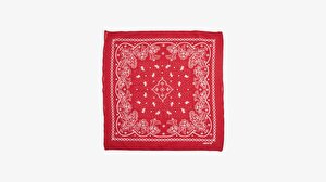 Paisley Unisex  Bandana