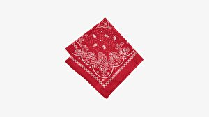 Paisley Unisex  Bandana