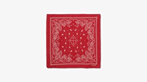Paisley Unisex  Bandana
