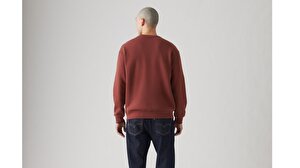 Relaxed Graphic Sweatshirt