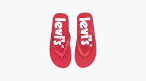 Dixon Flip Flop Terlik