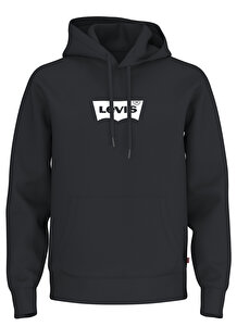 Standard Graphic Hoodie