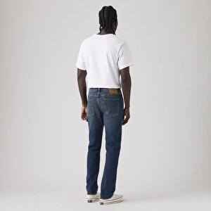 514™ Straight Erkek Jean Pantolon - World View