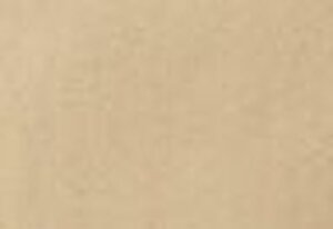 XX Authentic Relaxed Chino Pantolon