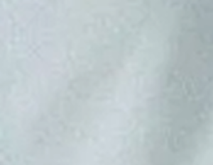 501® Original Lightweight Mid-Thigh Kadın Jean Şort