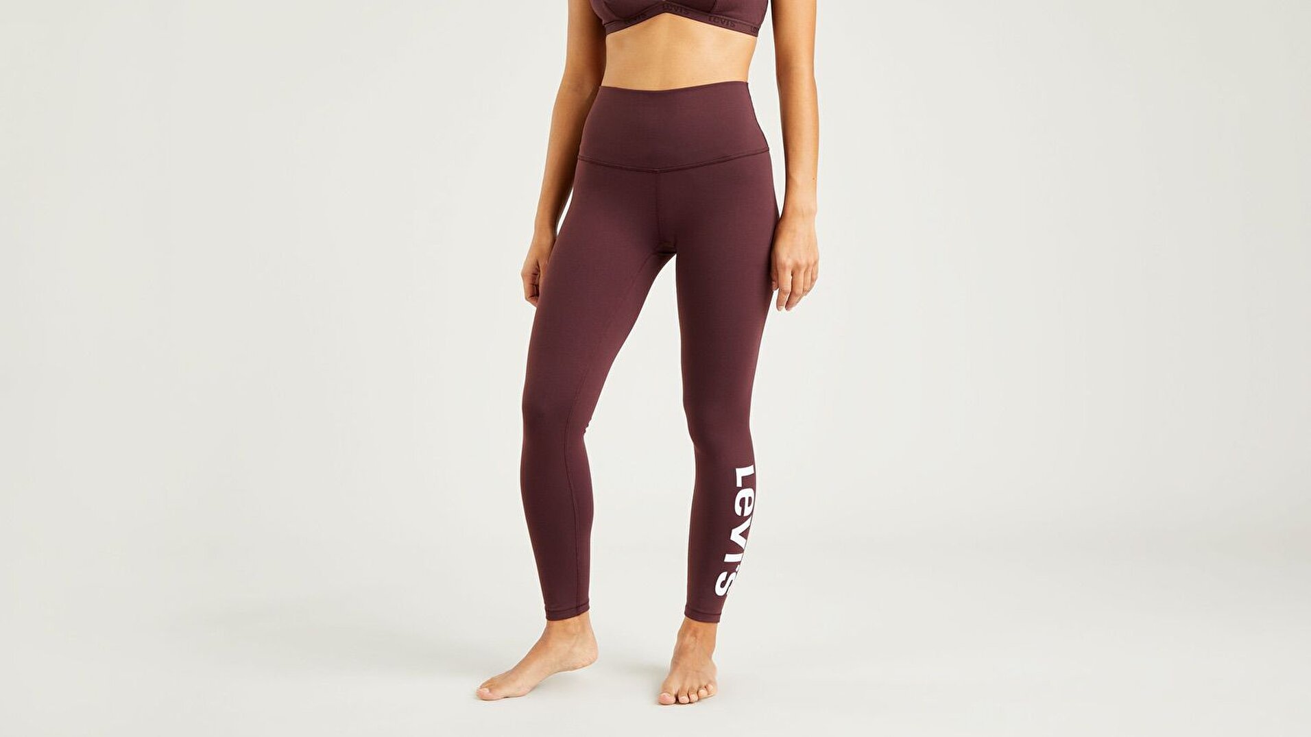 Bodywear Kadın Tayt-Malbec