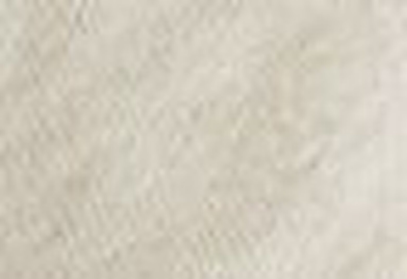 Wellthread Perfect Tee Sand Cotton Beyaz Kadın Tişört