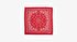 Paisley Unisex  Bandana