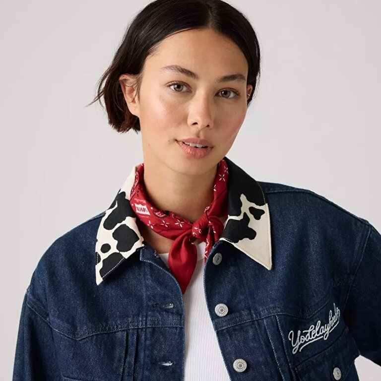 Levi's X Toy Story Bandana 126363 | Levi's TR