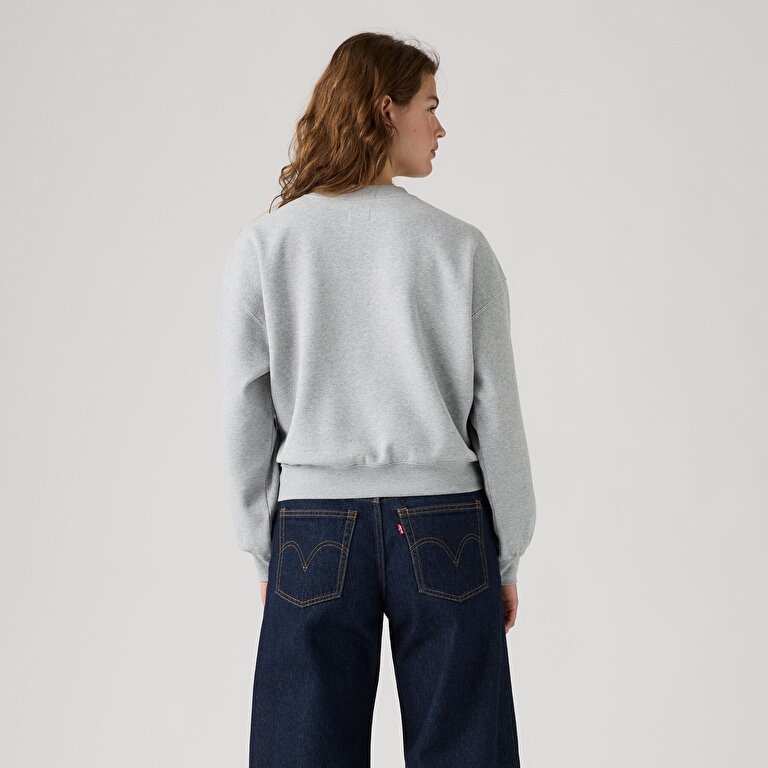 Graphic Vintage Boxy Bisiklet Yaka Sweatshirt