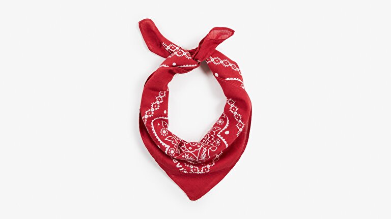 Paisley Unisex Bandana