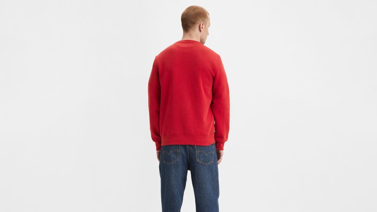 CORE NG CREW SWEATSHIRT RHYTHMIC RED BRU