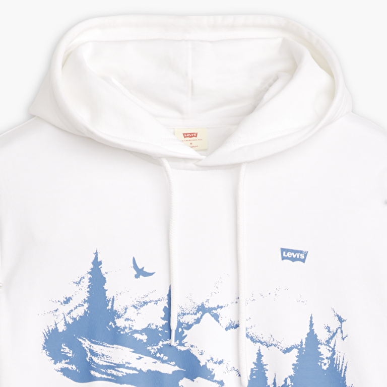 Standard Graphic Hoodie