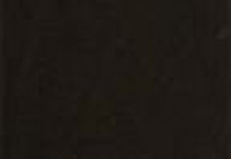 Mile High Super Skinny Kadın Jean Pantolon - Black Celestial
